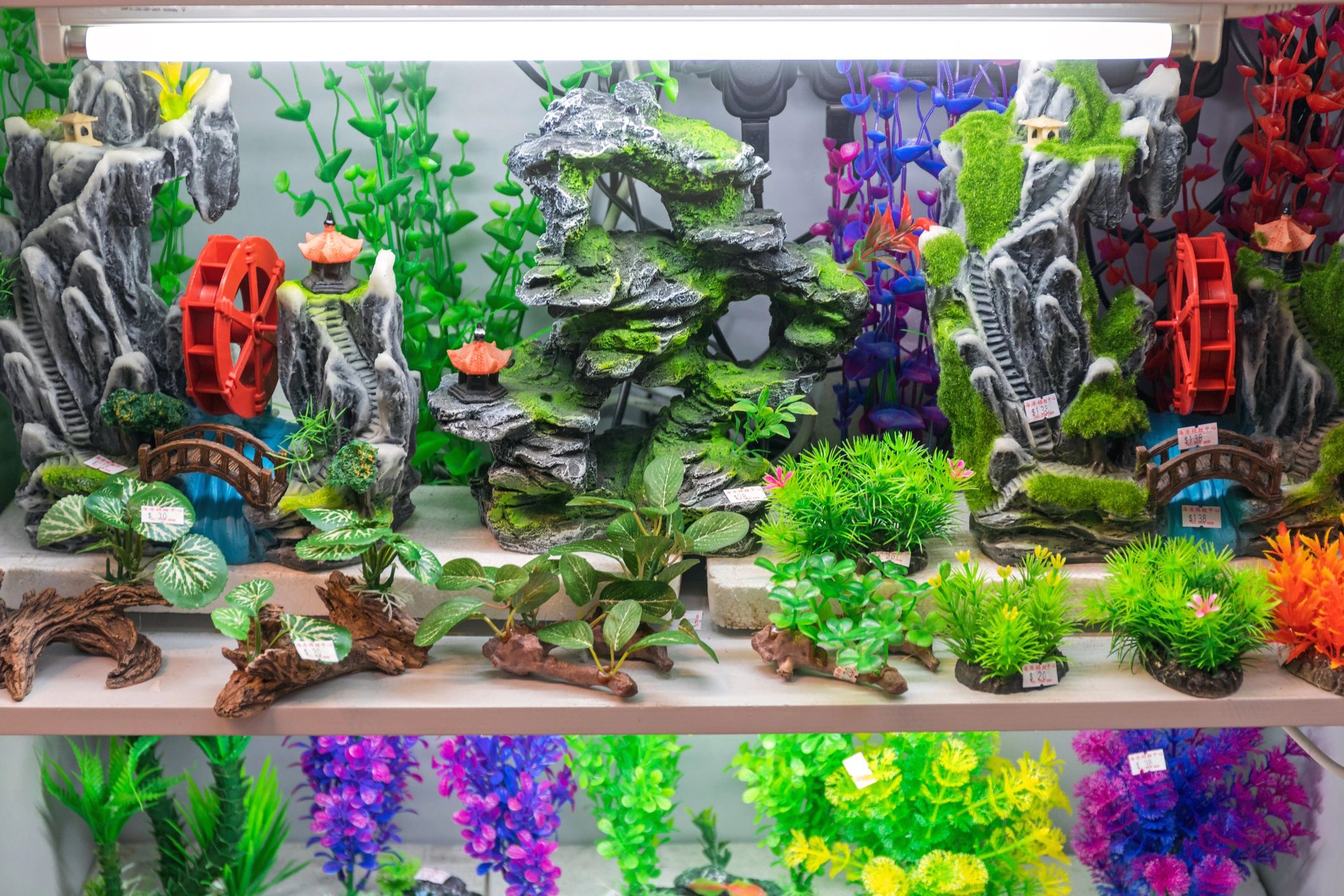 Selection of premium dry goods for aquariums