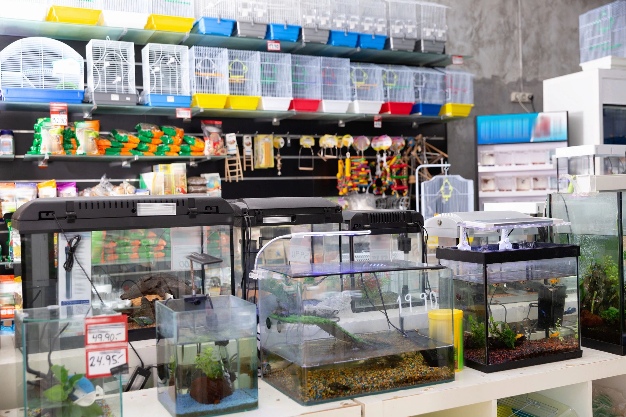 Diverse collection of coral species